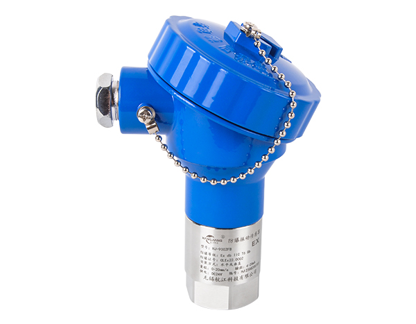 HJ-9002FB防爆振動(dòng)傳感器